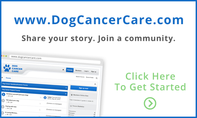Visit our Dog Cancer Care Canine Lymphoma Message Board